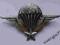 French paratroopers badge world war 2