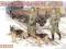 DRAGON German Feldendarmerie wdogs 1/35