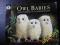 MARTIN WADDELL - OWL BABIES *JD