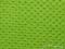 tkanina Minky zielona