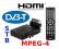 DEKODER TUNER DVB-T / STB MPEG-4 SD HDMI USB2.0 GW