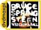 dvdmaxpl BRUCE SPRINGSTEEN: WRECKING BALL (2LP+CD)