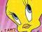 Ptasiek Looney Tunes Tweeety - plakat 61x91,5 cm