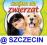 gra Zwierzaki: Szkółka dla Zwierząt PC PL Szczecin