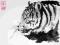malarstwo japonskie grafika japońska - tygrys
