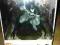 Batman Arkham City collector's edition folia