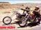 EASY RIDER - BIKES - plakat 91.5x61cm