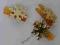 ZŁOTA GWIAZDKA ŚNIEZYNKA NA SPINACZU