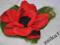 czerwone maki - broszka z filcu-filc