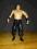 WWE WRESTLING ORYGINALNA FIGURKA (JAKKS) 20cm