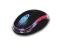 Myszka optyczna INTEX Little Wonder USB