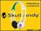 Słuchawki SkullCandy Icon White |GW. 24mc| ORG.