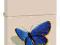 160# Zippo 24676 BSBUTTRFLY