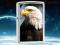 $$$ ZAPALNICZKA ZIPPO 28048 EAGLE NA PREZENT $$