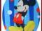 APLIKACJA TERMO  Disney -  MYSZKA MIKI  (07)