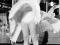 Marilyn Monroe (Skirt Up) - plakat 61x91,5 cm