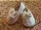 BHS CUDNE BALERINKI ECRU NA OKAZJE 0-3 M-CE