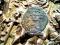 Moneta z okresu Al-Andalus bardzo rzadka