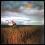 DEPECHE MODE A Broken Frame     super stan