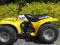 Quad Suzuki LT 50