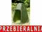 PRZEBIERALNIA NAMIOT TURYSTYCZNY 120X120 296 FV
