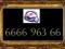 ZŁOTY NUMER PLAY - 6666 963 66