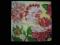 Serwetki Decoupage - TANIO! /146/