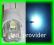 Żarówka LED postojówki  W5W 4 SMD + 1 LED, XENON