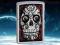 $ ZAPALNICZKA ZIPPO 24883 SKULL N DAY OF THE DEAD