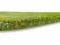 LUNKER CITY FIN-S FISH 6 CM - CHARTREUSE SILK ICE