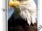 ZAPALNICZKA ZIPPO- EAGLE