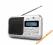 RADIO DUAL DAB + UKW PROMOCJA !  G