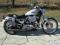 HARLEY DAVIDSON Sportster 1200