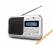 RADIO DUAL MINI DAB + UKW OKAZJA !  G