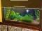Akwarium 250L+filtr zew., cały komplet
