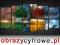 CZTERY PORY ROKU Promocja 160x80cm P17 Wys. 24h