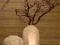 Manzanita gałąź 100cm, wazon, flakon