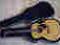 Gitara akustyczna Takamine G230 + twardy futerał