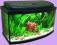 AKWARIUM 30 l PROSTE + WYPOSAŻENIE !!!, WARSZAWA