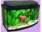 AKWARIUM 25 l PROSTE + WYPOSAŻENIE !!!, WARSZAWA