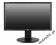 Monitor LCD 21,5" LED LG E2211S-BN