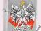 ZIPPO 200013 POLAND Brushed Chrome +benzyna GRATIS