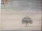 GENESIS Wind & Wuthering ~ LP UK 1PRESS! MINT!