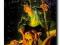 Starman: Stars My Destination - James Robinson NOW
