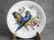 Seltmann Weiden*talerz dekoracyjny z ptakami*