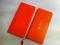 Vaio P Orange