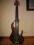 NEXUS fretless 6