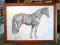 Piękny koń - rysunek ołówkiem - z ramą