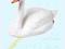 PTAKI SZTUCZNE _ ŁABĘDŹ _ NATURALNEJ WIELKOŚCI