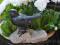 Żeliwny ptaszek na kamieniu dekoracja ogrodu taras